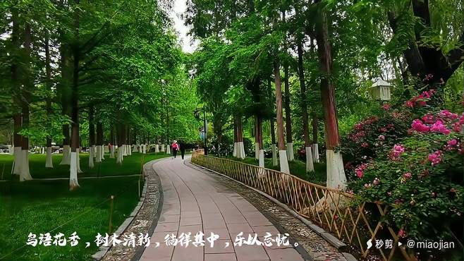 好景山东  雨后五龙潭，鸟语花香，树木清新。徜徉其间，乐以忘忧[兔子][兔子]
via 60后的渔歌