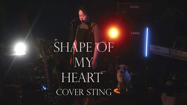 Shape Of My Heart cover Sting 这个杀手不太冷