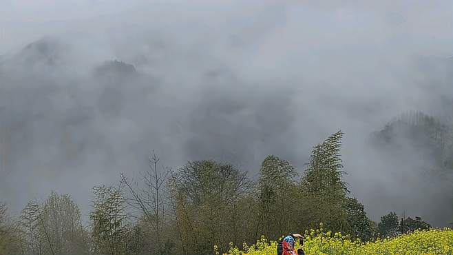 云雾缭绕中看油菜花海