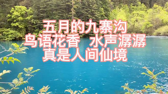 五月的九寨沟，鸟语花香，水声潺潺，就像人间仙境