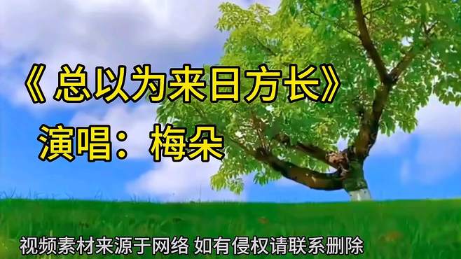 演唱 梅朵《总以为来日方长》我们等待花开 却忘了世事无常