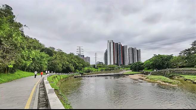 野钓深圳观澜河湿地公园！