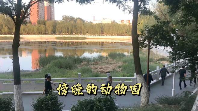 傍晚的锦州动物园