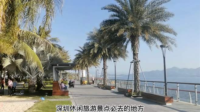 深圳休闲旅游景点必去的地方，有机会一定不要错过