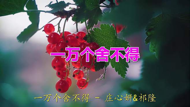 好听歌曲：《一万个舍不得》旋律悠扬，歌声令人念念不忘