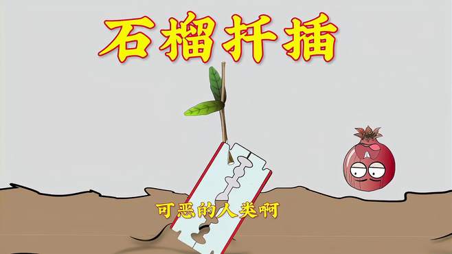 石榴扦插，火龙果便便，山药变形，莲藕呼吸，猪笼草吃虫虫