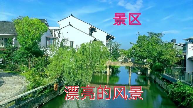 在上海一个公园里，发现一处如仙境一样的风景，里面还有鸟窝景点