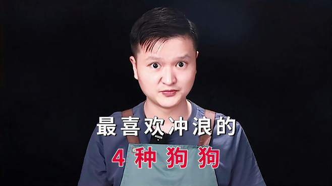 盘点最喜欢冲浪的4种狗狗，你家有养吗？