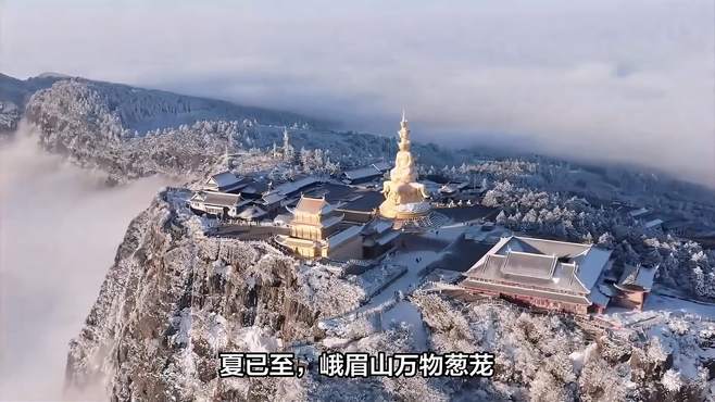 杜鹃花开正艳！峨眉山的遐想时刻与唯美梦境