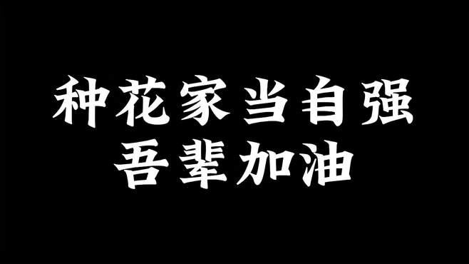 你们凭什么说放下，我就就要放下啊