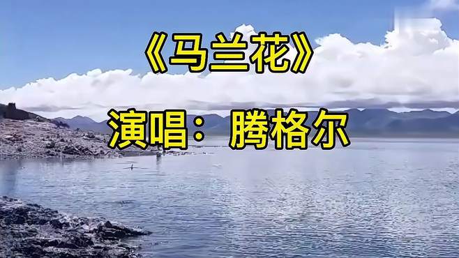 腾格尔演唱《马兰花》，磁性好听的嗓音，有没有把你带到大草原