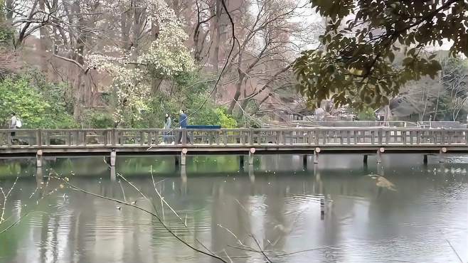 城市之旅，惊艳万千风光，感受旅行的乐趣