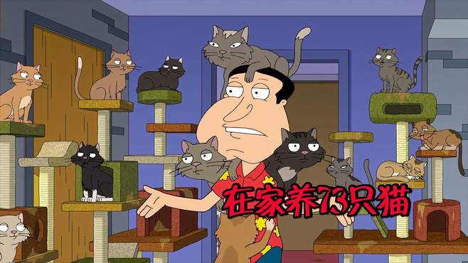 在家养73只猫是怎样一种体验？猫奴天花板！恶搞之家