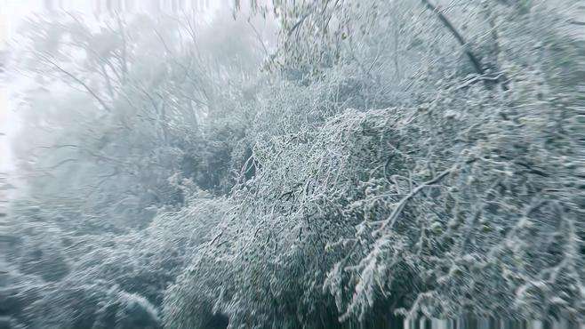 本是春暖花开季，却是落雪成诗意。#白雪映出希望春天