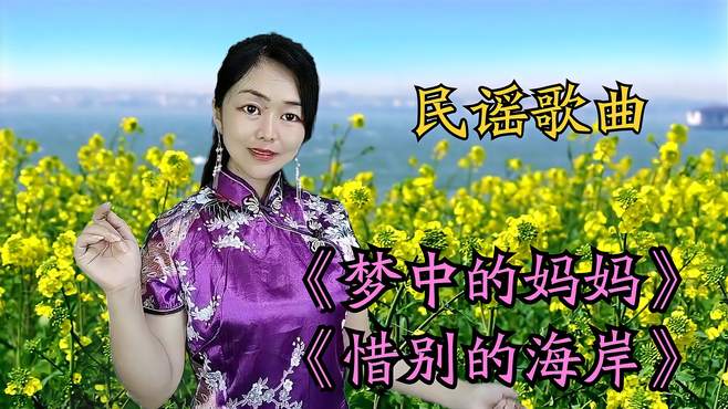 民谣歌曲《梦中的妈妈》《惜别的海岸》经典的歌曲，句句真情流露