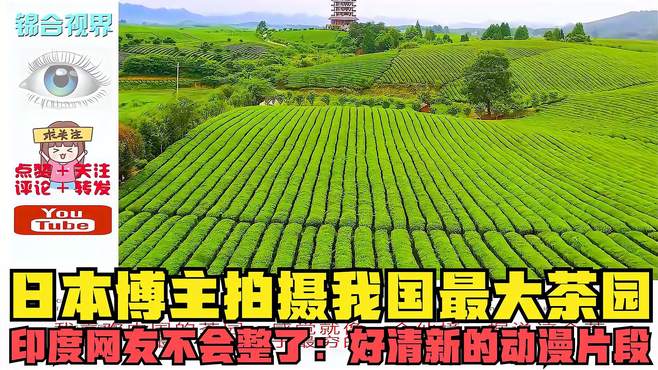 日本博主拍摄我国最大茶园，印度网友不会整了：好清新的动漫片段