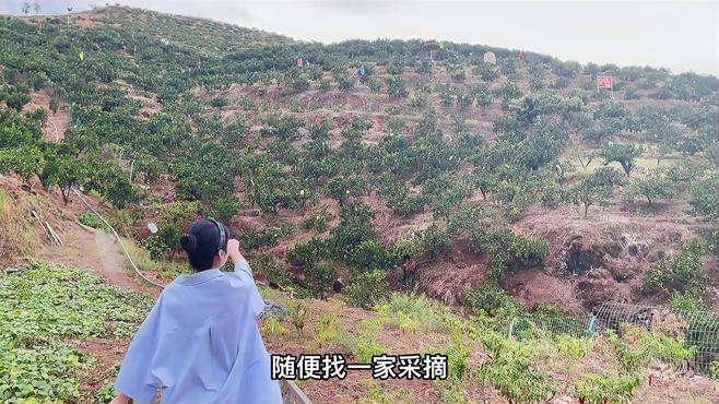 千岛湖故地重游，这份三日游朝向超详路线快来围观吧#旅行推荐官 #周末去哪玩 #旅游攻略 #江浙沪周边游