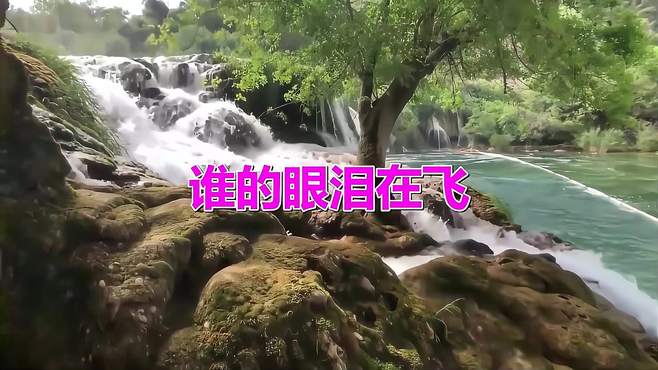 一起欣赏经典老歌：《谁的眼泪在飞(DJ珈珈)》