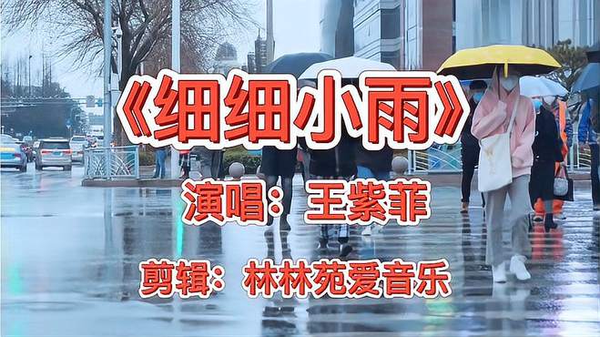 轻轻柔柔，微风漫步街头，一首《细细的小雨》非常唯美的歌曲