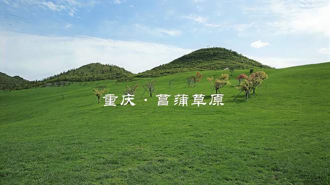 重庆高山草原——还未正式开放的酉阳菖蒲大草原