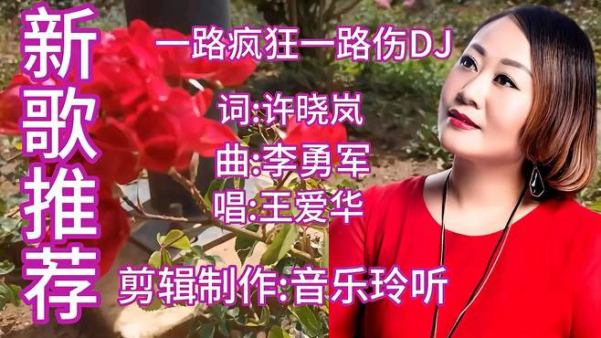 新歌推荐《一路疯狂一路伤》DJ