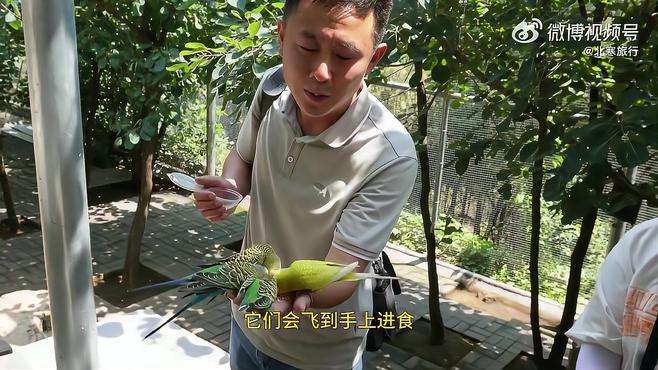 自在玩 去山东  最in山东打卡地   沿着黄河遇见海  夏日的开元溶洞，真是天然的避暑氧吧，空山溶洞妙奇玄，鬼斧神工别样天。via