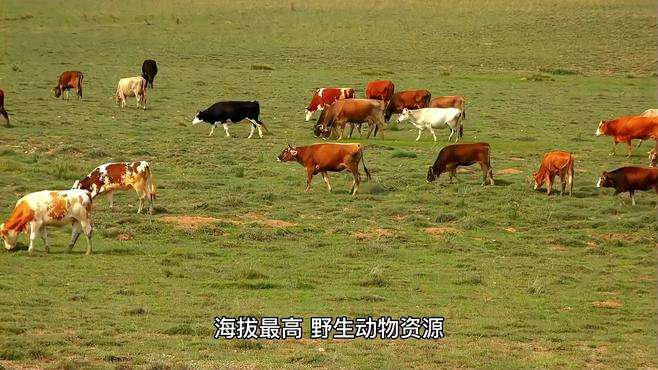 青海格尔木旅行推荐，个人觉得值得收藏的旅游景点，你去过几个