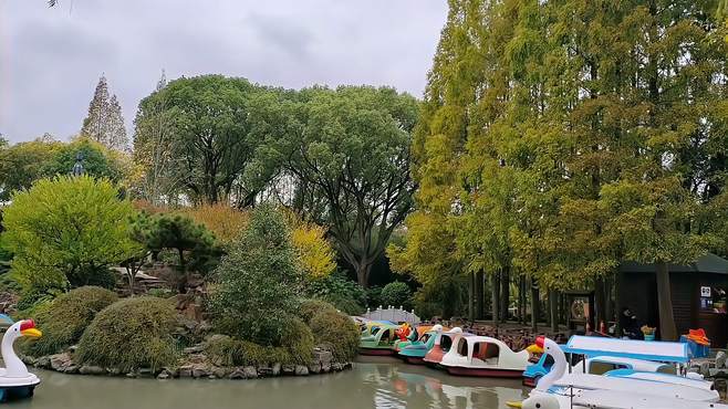 上海环境优美景点，鸟语花香，令人陶醉，鹭鸶翻飞